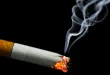 کم بو ترین سیگار کدام است؟ (لیست 8 سیگار کم بو)