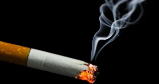 کم بو ترین سیگار کدام است؟ (لیست 8 سیگار کم بو)