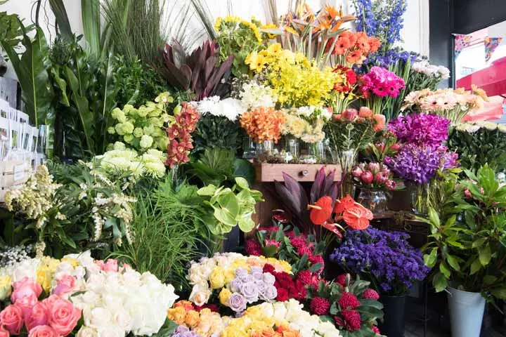 اسم برای مغازه گلفروشی