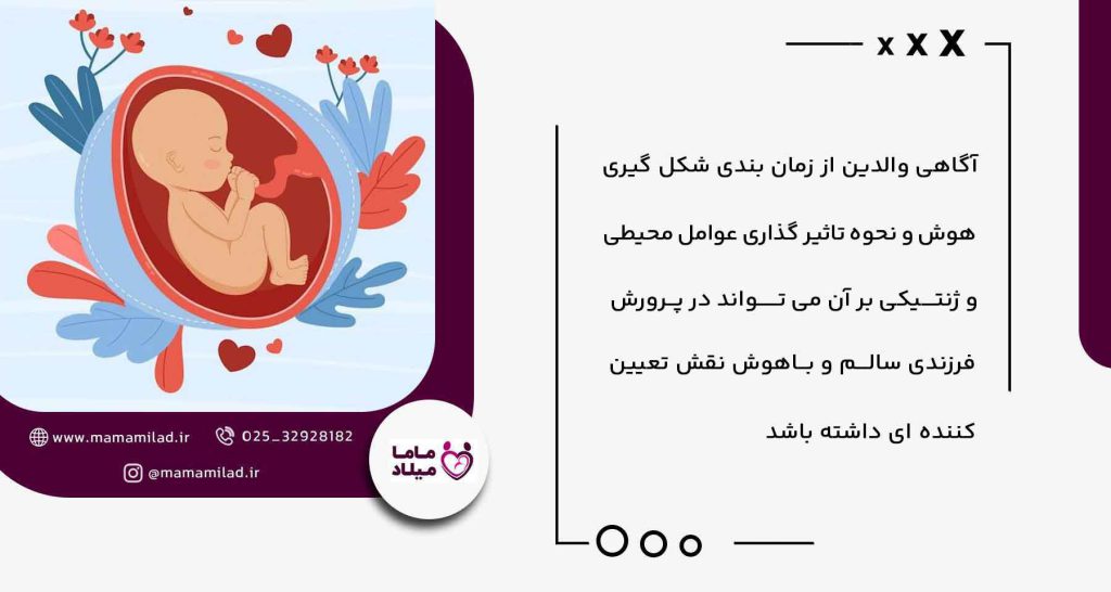 رازهای داشتن فرزندی زیبا و باهوش؛ زیبایی و هوش جنین دقیقاً در کدام ماه شکل می‌گیرد؟